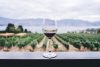 Domaine De Sainte Veziane: Wijnen en Gastronomie